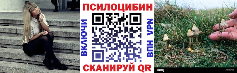 Псилоцибиновые грибы MAGIC MUSHROOMS  Усолье-Сибирское 